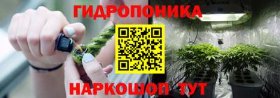 эйфоретик Краснодар