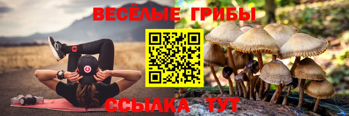 Кострома  Галлюциногенные грибы прущие грибы  Вход с VPN 